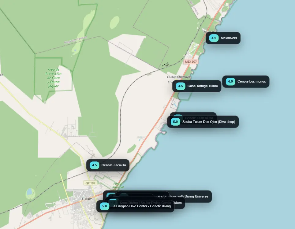 Tulum Cenotes: The Epicenter of the Riviera Maya